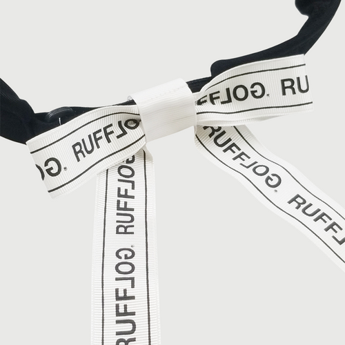 RW RIBBON VISOR