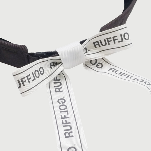 RW RIBBON VISOR