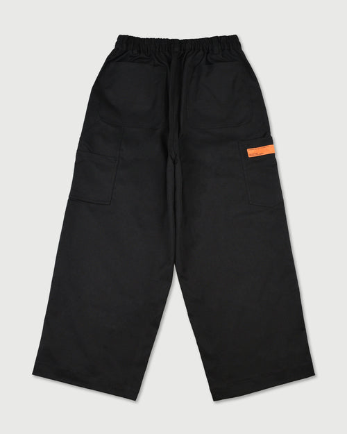 REFINED WIDE PAINTER PANTS