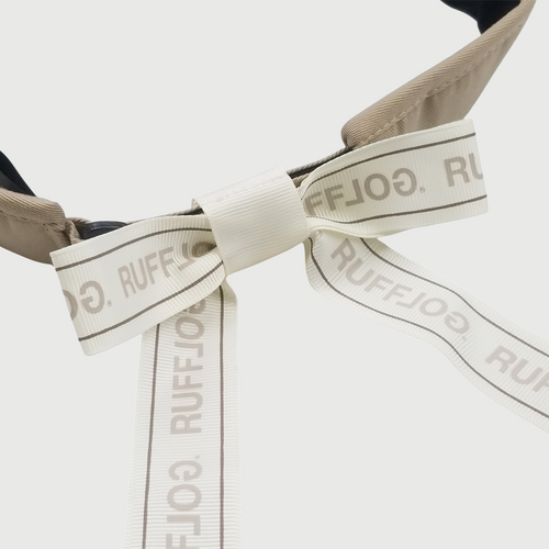 RW RIBBON VISOR