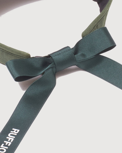 DETACHABLE RIBBON VISOR GREEN