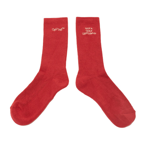 #DIGNIFIED LOGO 3PC SOCKS BLACK&RED&GREEN