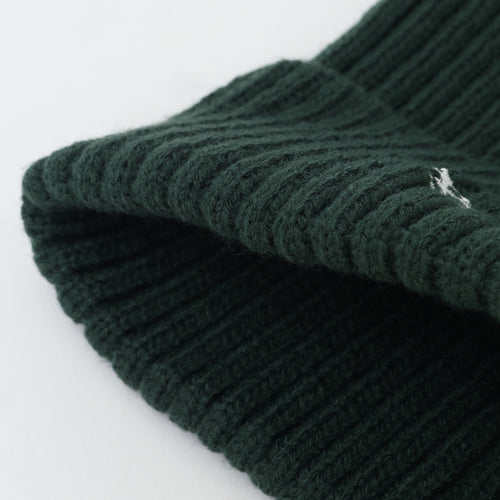 Tagging Logo AC Beanie Green