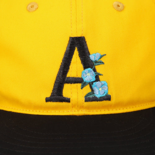 SASANQUA 6 PANEL CAP YELLOW / BLACK